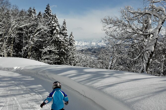 Full Day Ski Lesson (6 hours) in Yuzawa, Japan - Why private teaching is worth the price