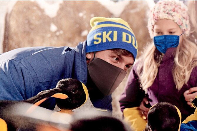 Full-day Snow Ski in Dubai - A Practical Morning Plan