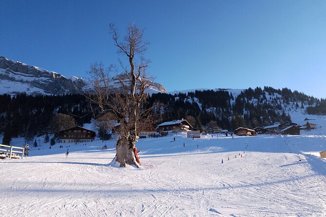 Fully organized Ski Experience for Private Groups - Is $304.37 per person good value?