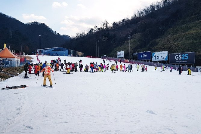 Gangchon Elysian Ski Day Trip from Seoul - From Seoul streets to Elysian Gangchon snow