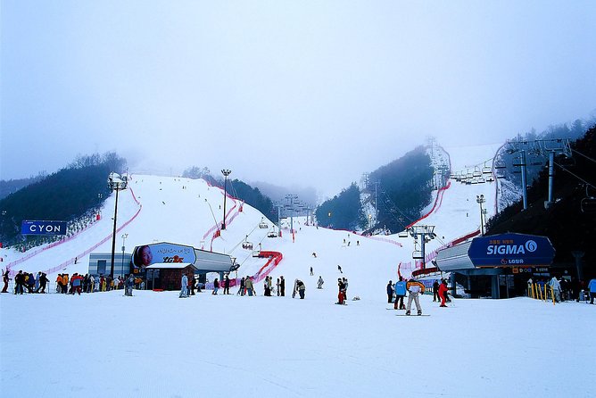 Gangchon Elysian Ski Day Trip from Seoul - Choosing between skiing, snowboarding, and snow sliding
