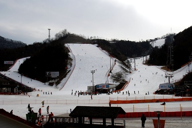 Gangchon Elysian Ski Day Trip from Seoul - Making sense of the resort stop