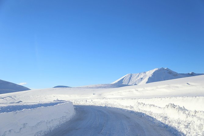 Gudauri Ski Resort day tour from Tbilisi - What the private vehicle adds