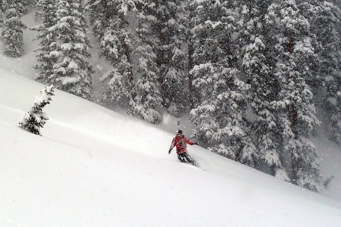 Guided Backcountry Skiing - Telluride - Key points before you book