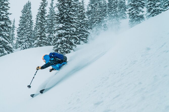 Guided Backcountry Skiing - Telluride - Finding your level in the San Juan Mountains