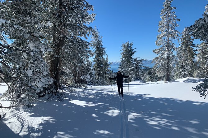 Guided Cross Country Skiing at Lake Tahoe - Why the groomed trail choice matters