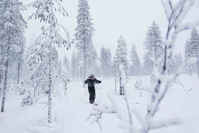 Half-Day Backcountry Skiing Tour in Levi with Photography Guide - Leaving Levi for the Arctic Forest