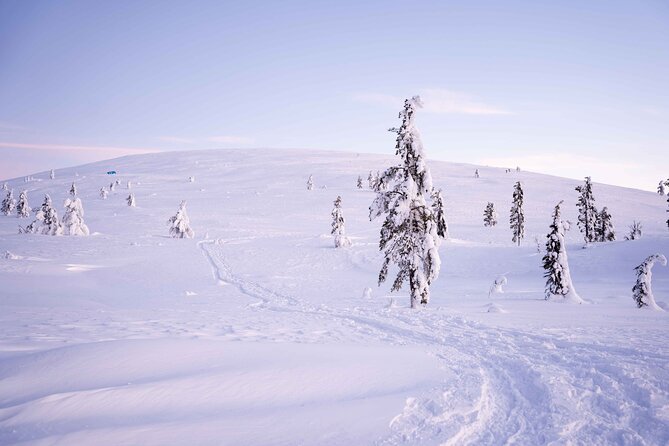 Half-Day Backcountry Skiing Tour in Levi with Photography Guide - Why the Photography Guide Adds Value