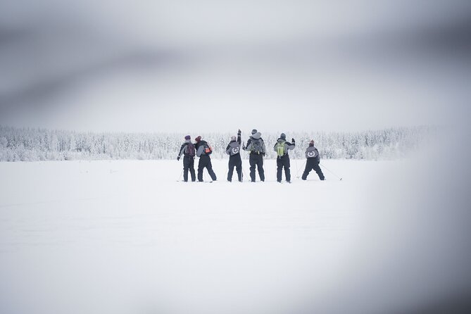 Half-Day Backcountry Skiing Tour in Levi with Photography Guide - Weather, Cancellation, and Planning Advice