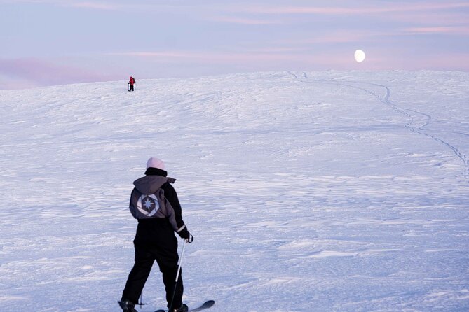 Half-Day Backcountry Skiing Tour in Levi with Photography Guide - What Backcountry Skiing in Levi Feels Like