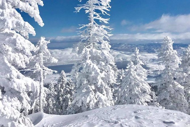 Half-Day Guided Backcountry Ski Touring Experience near Incline Village - Choosing between the two ski setups