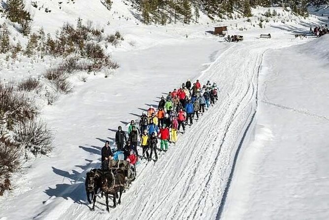 Hidden Valley Ski Tour - Armentarola and its unusual ice waterfalls