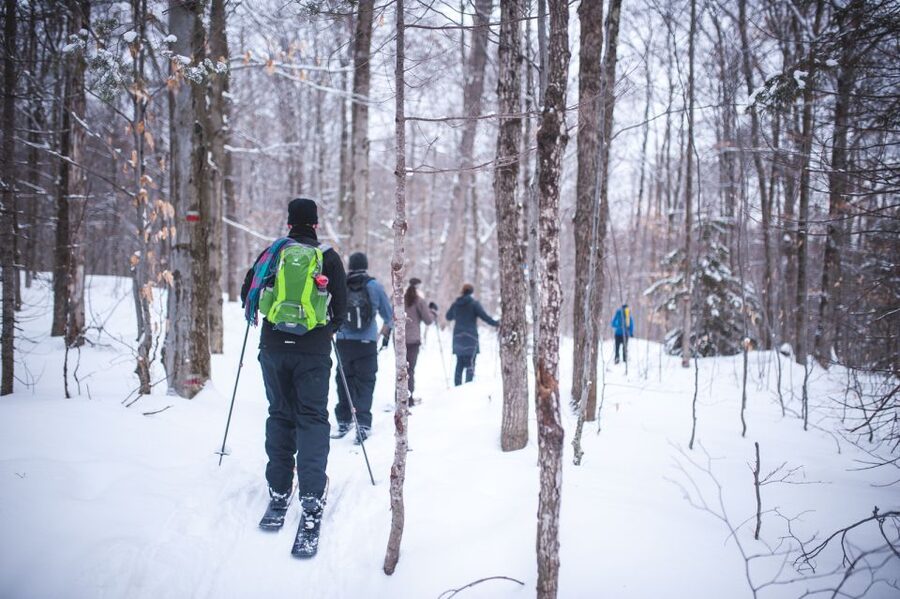 Jacques-Cartier National Park: Skiing Excursion - Why ski-shoeing works so well here