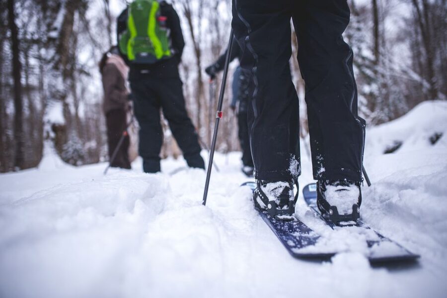 Jacques-Cartier National Park: Skiing Excursion - Three hours through the winter forest