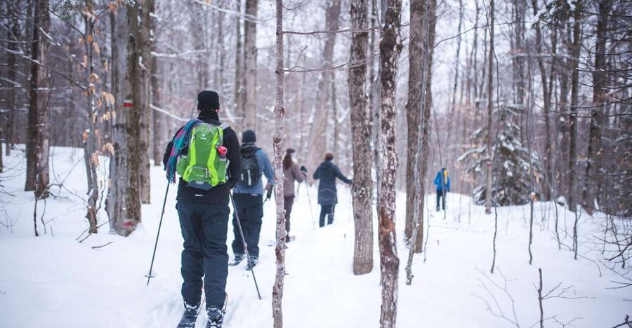 Jacques-Cartier National Park: Skiing Excursion - Small group, guide quality, and language