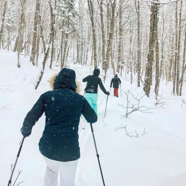 Jacques-Cartier National Park: Skiing Excursion - Leaving Quebec City from two central pickup points