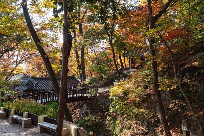 Jisan Forest Ski Resort and Everland 1 Day Tour - Is $58.83 a good value?