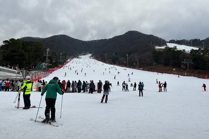 Jisan Forest Ski Resort and Everland 1 Day Tour - Who should choose this tour?