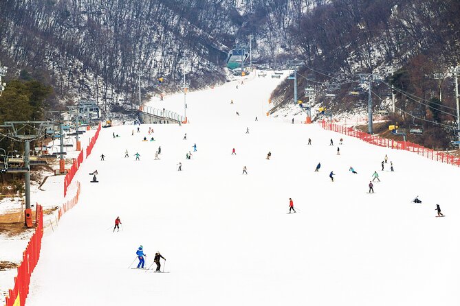 Jisan Forest Winter Ski Day Tour from Seoul with Basic Lesson - Seven hours among snow and pine trees