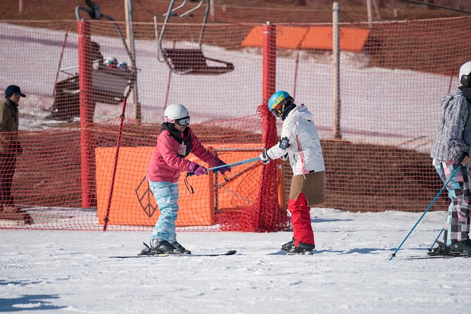 Jisan Forest Winter Ski Day Tour from Seoul with Basic Lesson - Families, first-timers, and mixed-ability groups