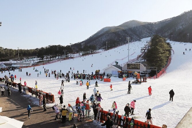 Jisan Forest Winter Ski Day Tour from Seoul with Basic Lesson - What the one-hour basic lesson is really for
