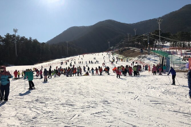 Jisan Ski One Day Tour - What to expect at Jisan Forest Resort