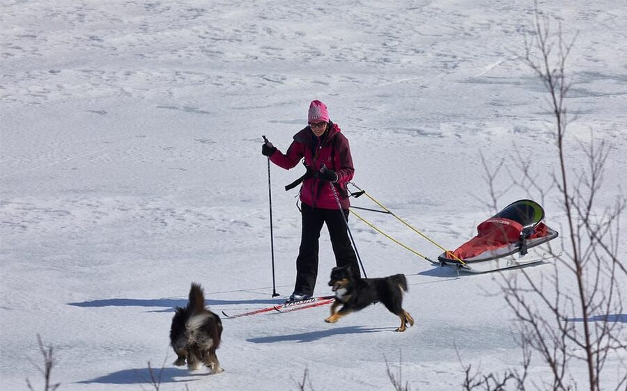 Kiruna: Cross-Country Skiing Tour with a Guide - Key points to know before you book