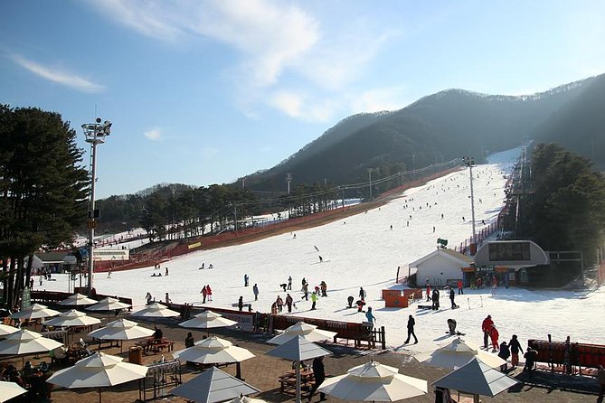 Korea Ski Tour from Seoul - Jisan Resort with Isaac Toast - A Simple Winter Escape From Central Seoul