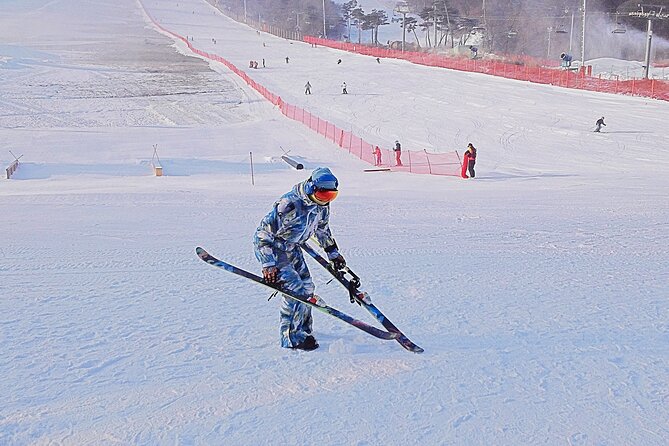 Korea Ski Tour from Seoul - Jisan Resort with Isaac Toast - The 120-Minute Beginner Ski Lesson