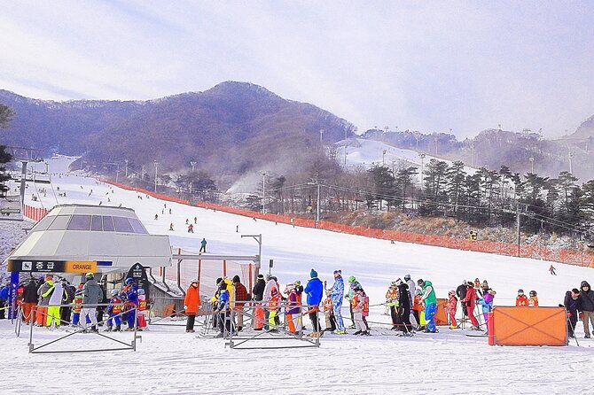Korea Ski Tour from Seoul - Jisan Resort with Isaac Toast - Free Time on the Slopes