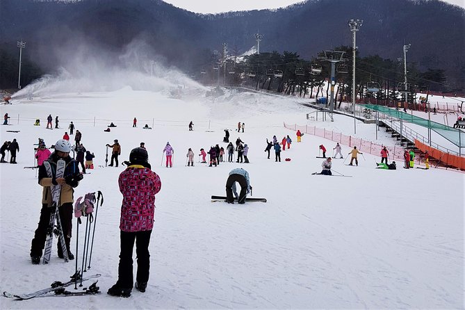 Korea Ski Tour from Seoul - Jisan Resort with Isaac Toast - Snow Sledding for a Gentler Day