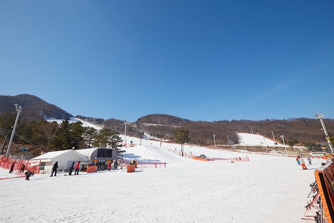 Korea Ski Tour from Seoul - Jisan Resort with Isaac Toast - Breakfast, Lunch, and Winter Comfort