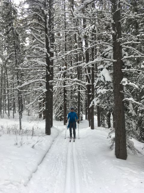 Lake Louise: Cross Country Skiing Lesson with Tour - Key points to know before you book