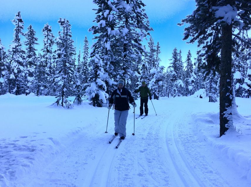 Lake Louise: Cross Country Skiing Lesson with Tour - Meeting at the public washrooms at 10:30 AM