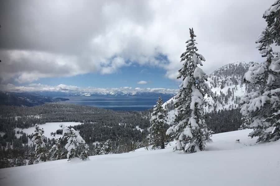 Lake Tahoe: Guided Cross Country Skiing Tour - Key points to know before you book
