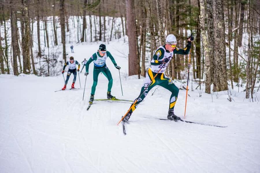Lake Tahoe: Guided Cross Country Skiing Tour - Starting at Tahoe Multisport with the right gear