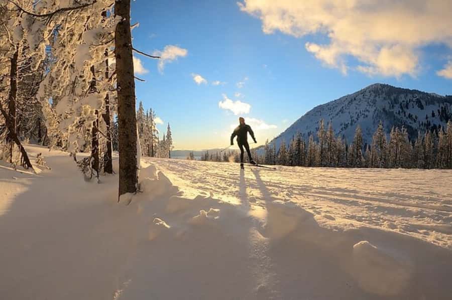 Lake Tahoe: Guided Cross Country Skiing Tour - Seeing Lake Tahoe from snow level