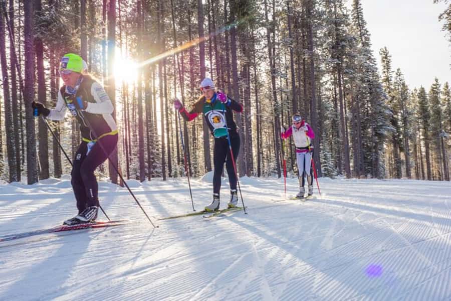 Lake Tahoe: Guided Cross Country Skiing Tour - Taking the shuttle to a groomed trail