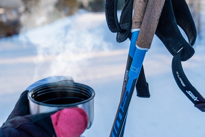 Learn Nordic Skiing - Private Class with Professional Instructor - How difficult is the 90-minute class?