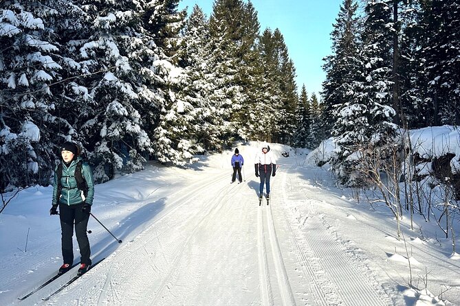 Learn Nordic Skiing - Private Class with Professional Instructor - The first lesson: getting comfortable on Nordic skis