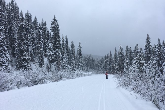 Learn to Cross Country Ski in Lake Louise - Learning the basics beside Lake Louise