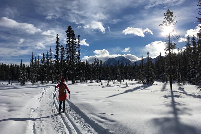 Learn to Cross Country Ski in Lake Louise - Why the six-person limit matters
