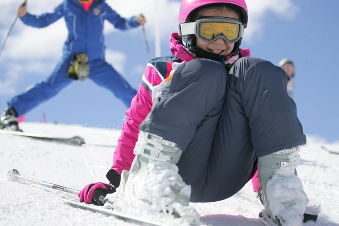 Lessons in Mini-Group - 2 hours a day - Skiing - Who should book these lessons
