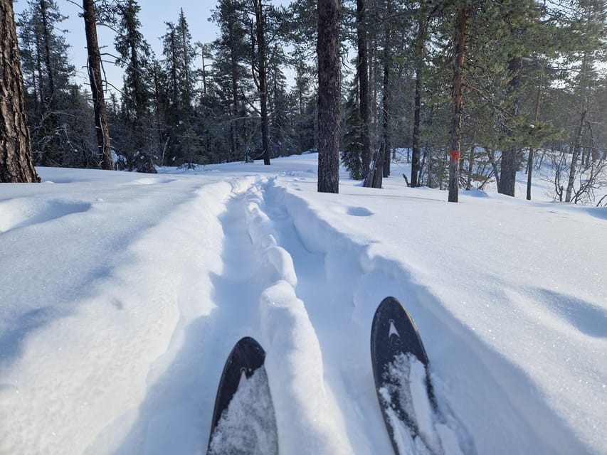 Luleå: Nordic Touring Skiing Adventure - Starting at the smallboat harbour