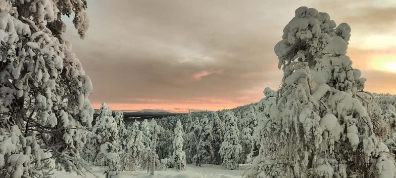 Luosto: Private Sliding Ski Adventure with Local Guide - Is $95 a fair price?
