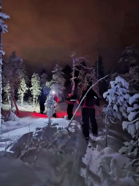 Luosto: Private Sliding Ski Adventure with Local Guide - Into the Pyhä-Luosto forest