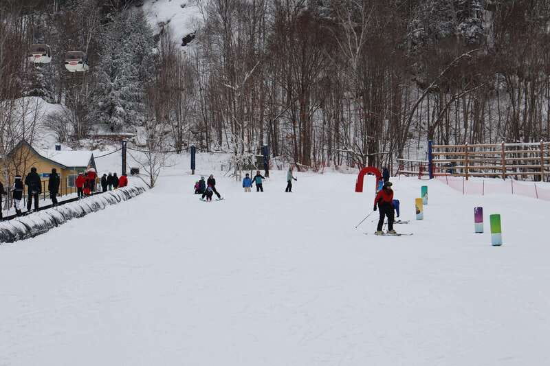 Montreal: Guided Skiing in Quebec Forests - Key points to know before you book