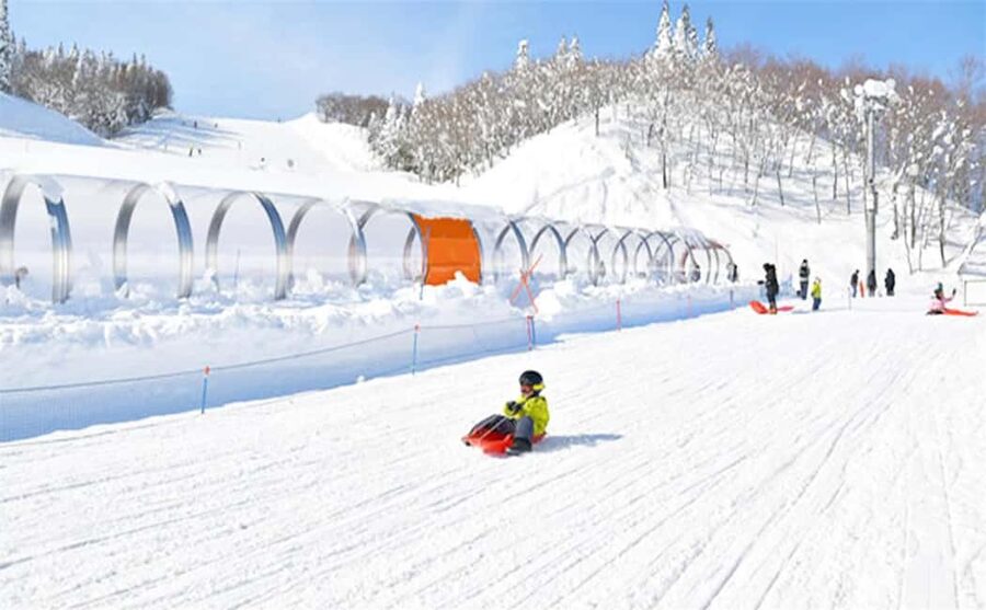 Mt. Fuji Skiing Experience- YETI Ski Resort & Onsen Day Trip - How the $90 price holds up