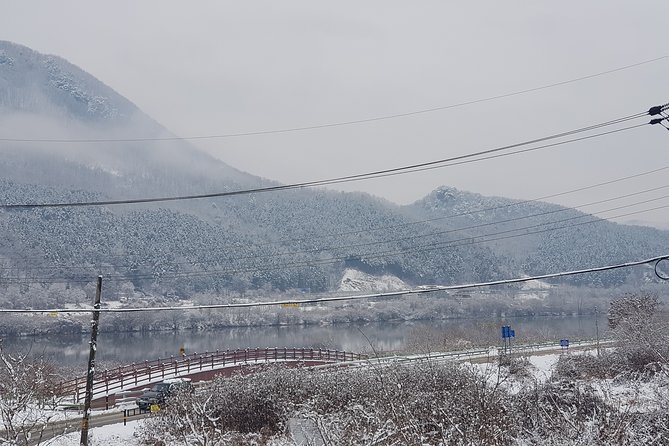 Nami Island + Ski Tour - Nami Island and the five-minute ferry