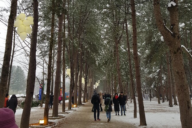 Nami Island + Ski Tour - Is $100 a fair price?